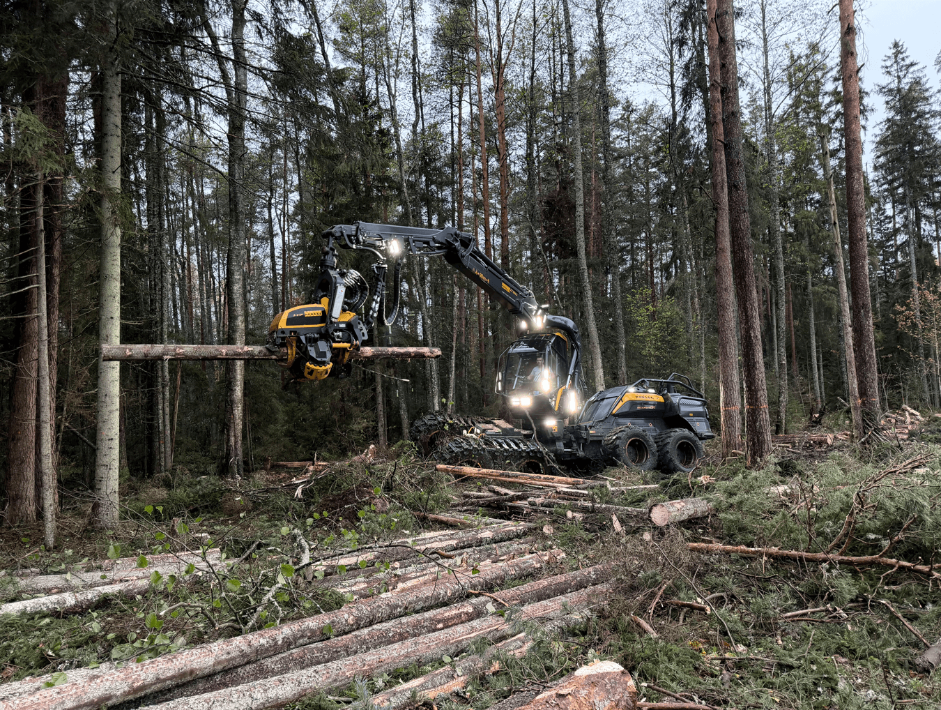 Leading the Digital Frontier: How FF Forest is Automating the Future of Forestry