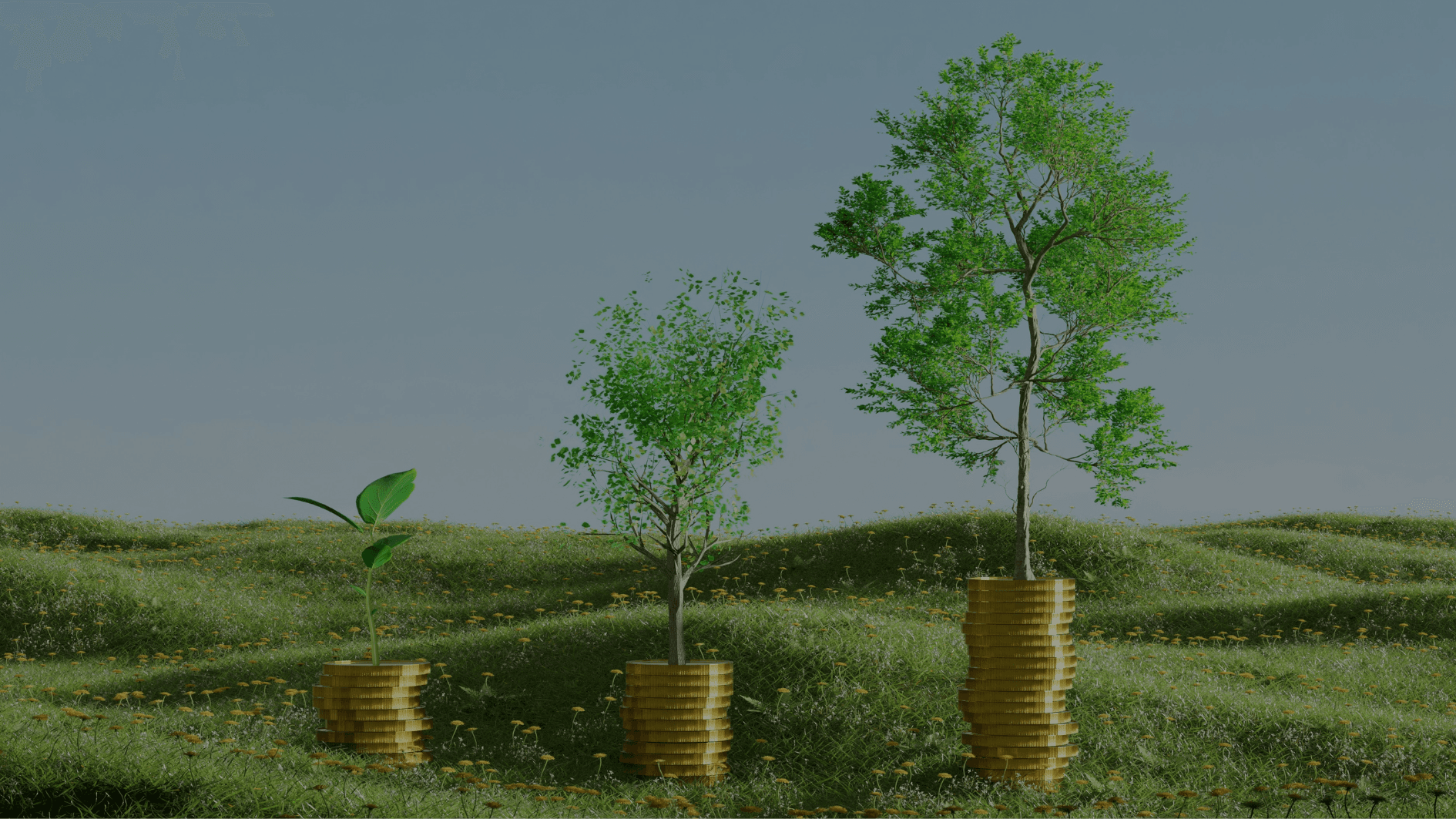 2025 Year-end update: strong momentum at FF Forest