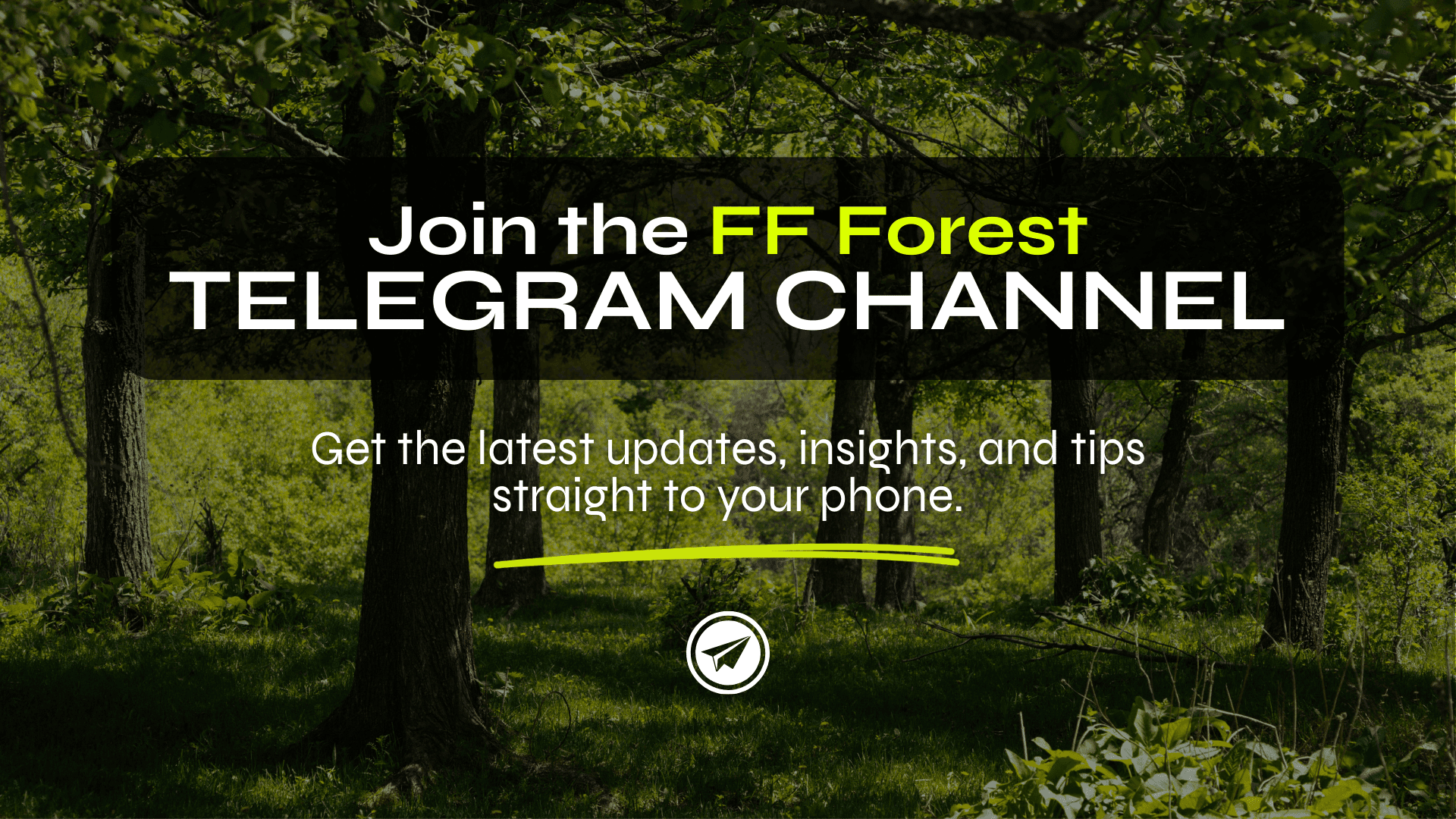 Reasons to join the FF Forest Telegram channel
