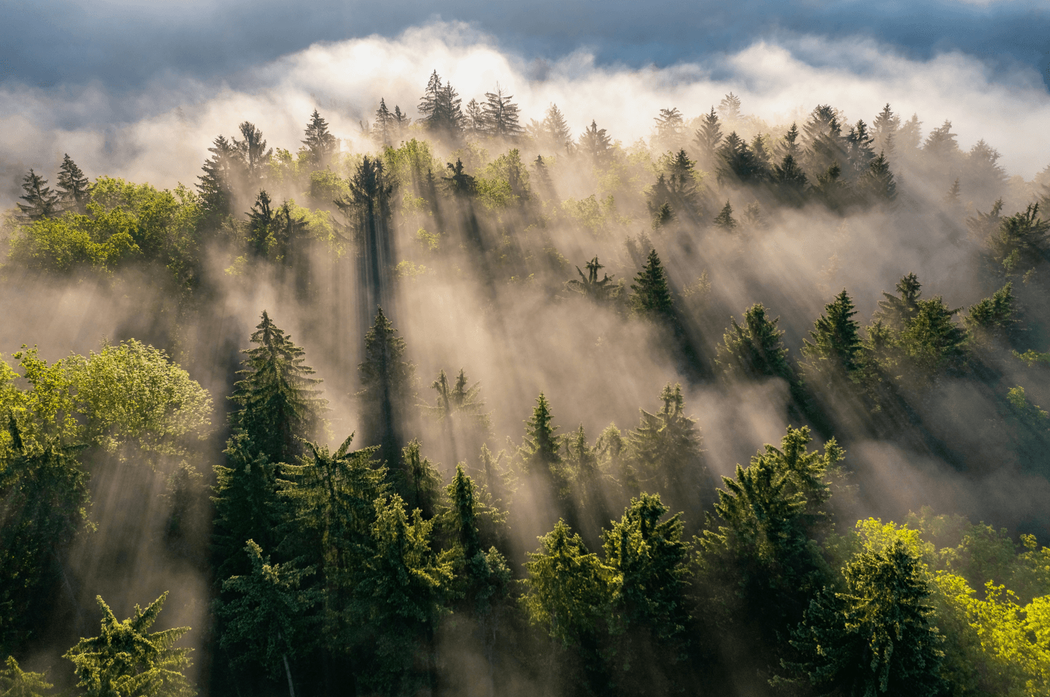 Improving Transparency and Accuracy in Daily Interest Calculations