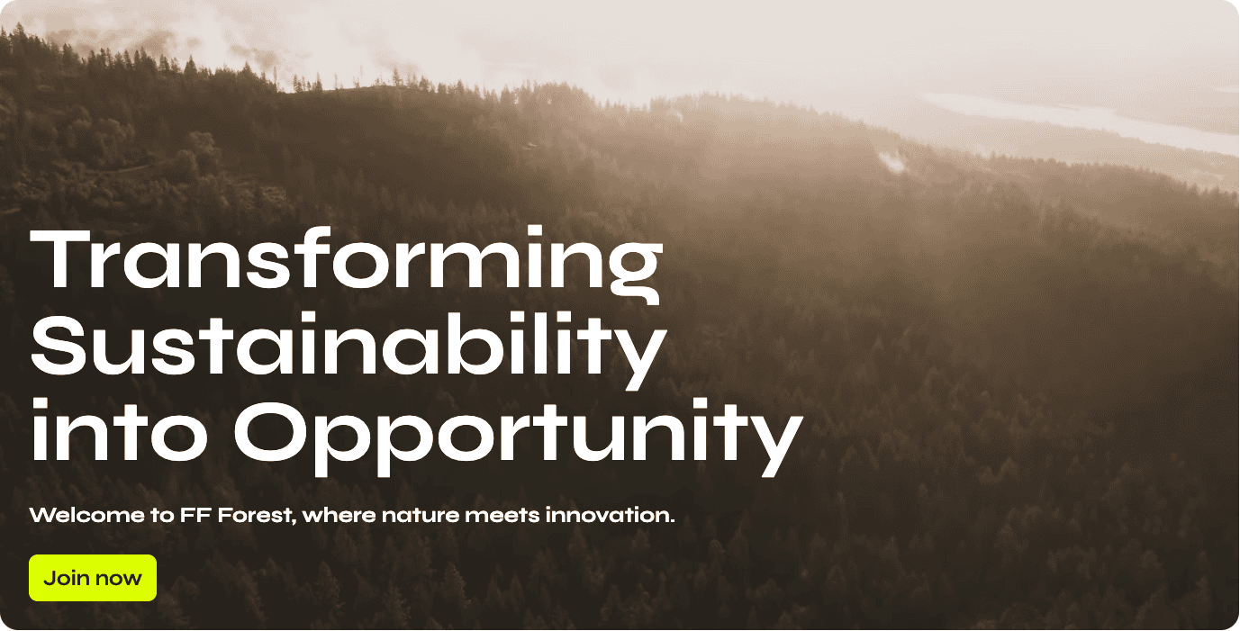 Descuento de FF Forest